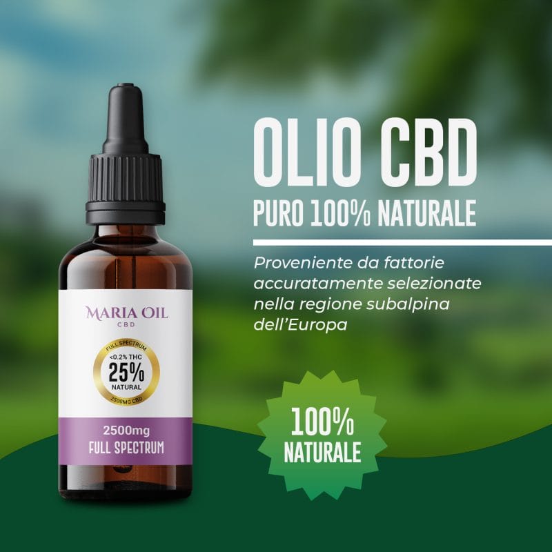 Vollspektrum CBD Öl 25% (2500 mg) – Bild 2