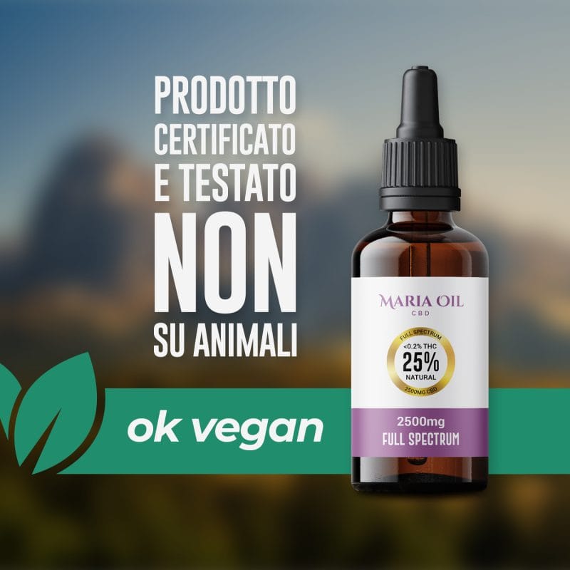 Vollspektrum CBD Öl 25% (2500 mg) – Bild 4