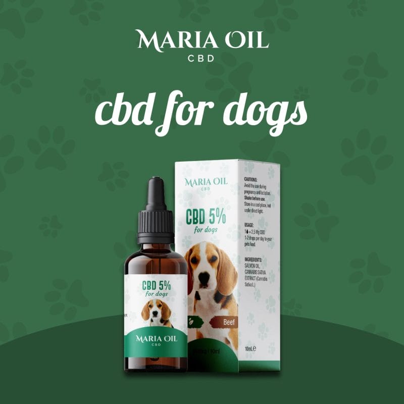 CBD Öl 5% für Hunde – Bild 2