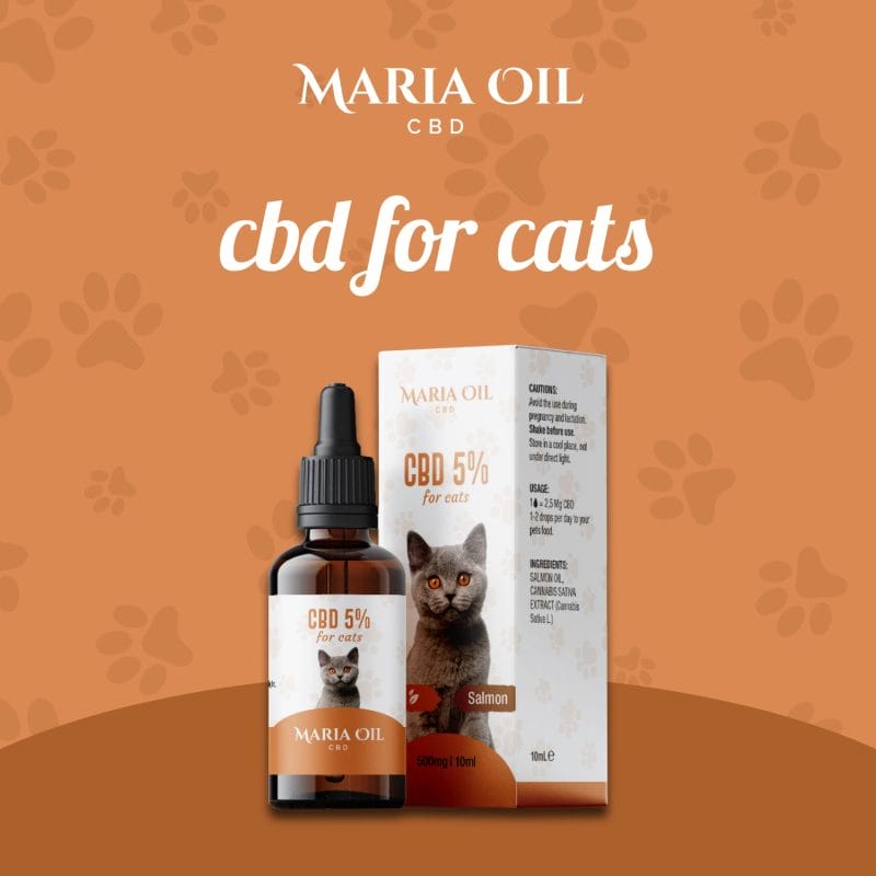 CBD Öl 5% für Katzen – Bild 2