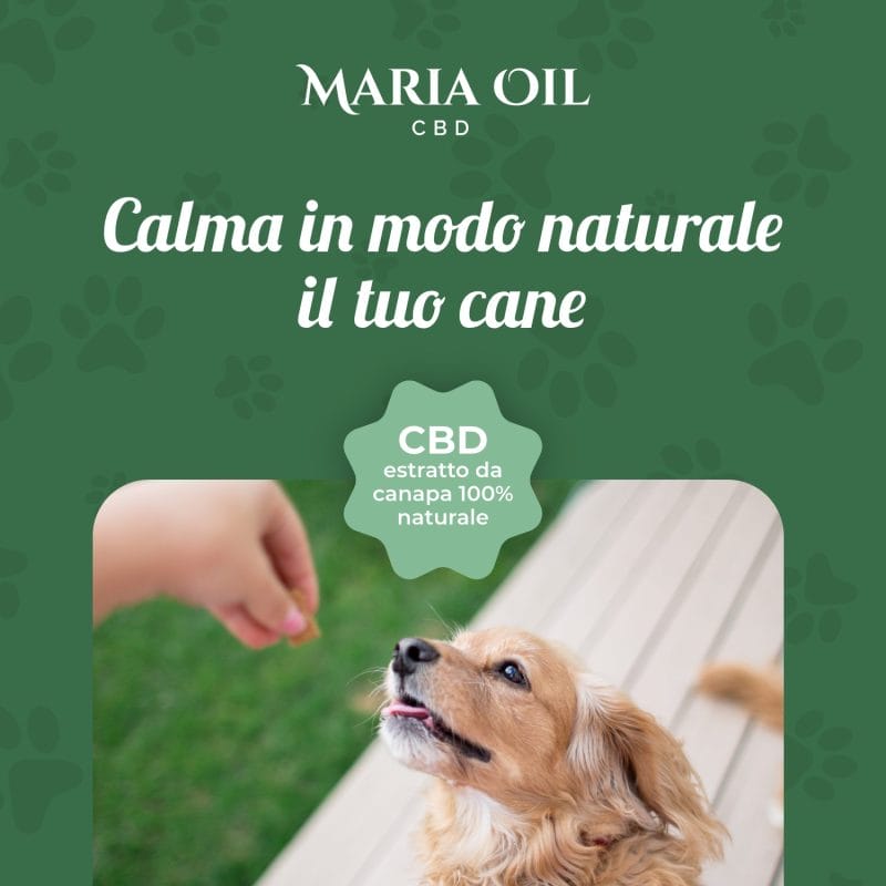 CBD-Hundefutter mit Rind- und Schweinefleisch – Bild 3