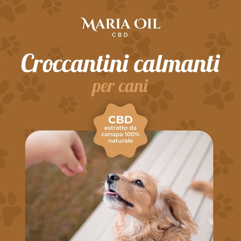 CBD-Hundefutter mit Huhn und Truthahn – Bild 3