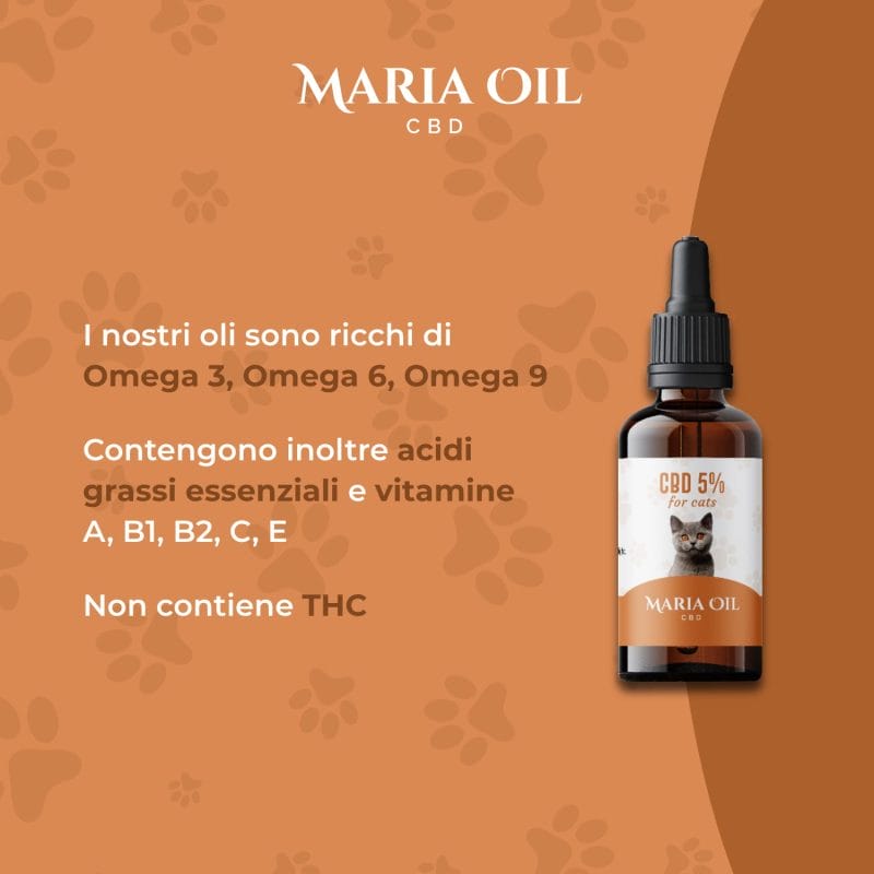 CBD Öl 5% für Katzen – Bild 4
