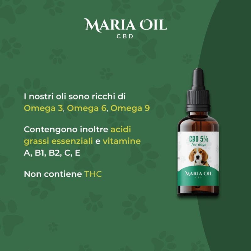 CBD Öl 5% für Hunde – Bild 4