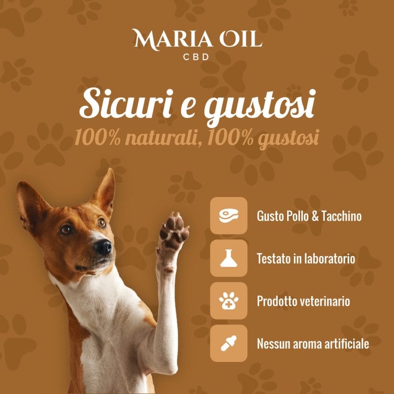 CBD-Hundefutter mit Huhn und Truthahn – Bild 5