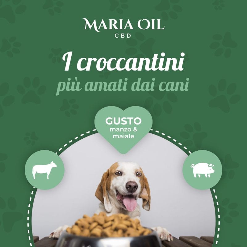 CBD-Hundefutter mit Rind- und Schweinefleisch – Bild 6