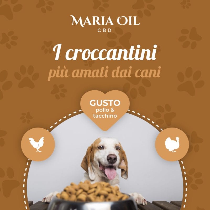 CBD-Hundefutter mit Huhn und Truthahn – Bild 6