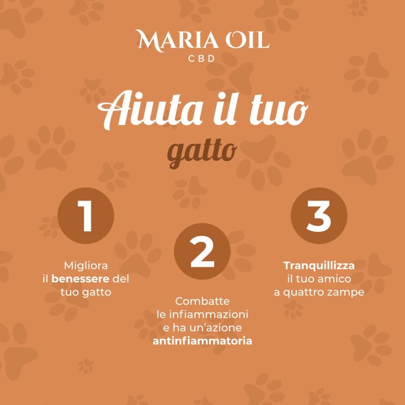 CBD Öl 5% für Katzen – Bild 6