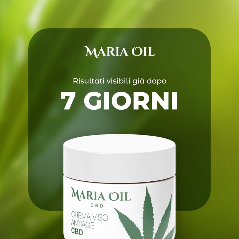 Anti-Aging-Gesichtscreme mit CBD – Bild 4