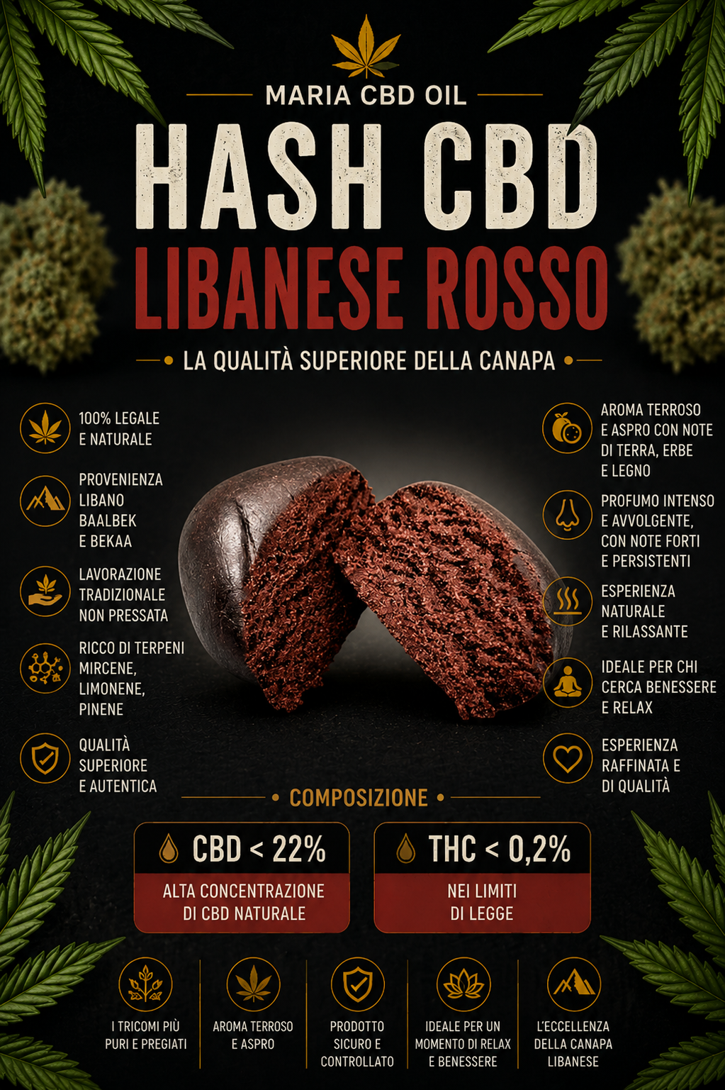 Rote Libanesen – Bild 2