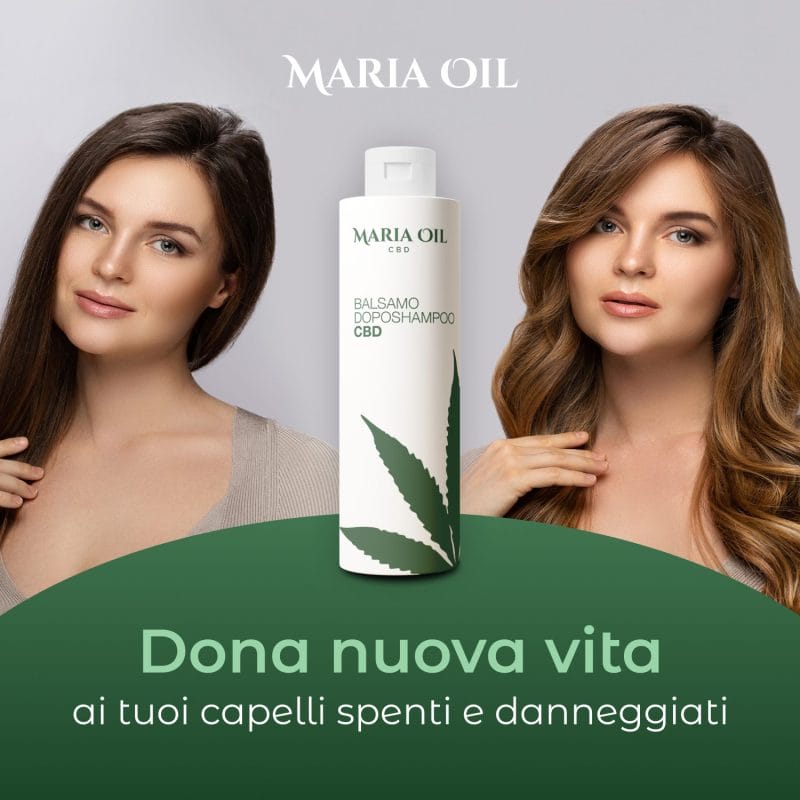 CBD-Conditioner – Bild 3