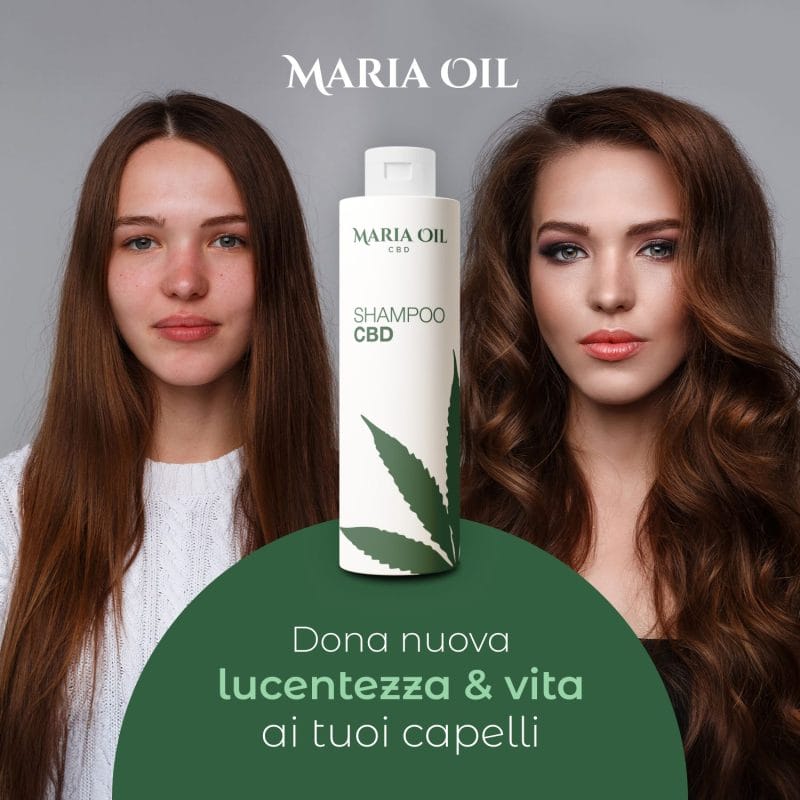 CBD-Shampoo – Bild 3