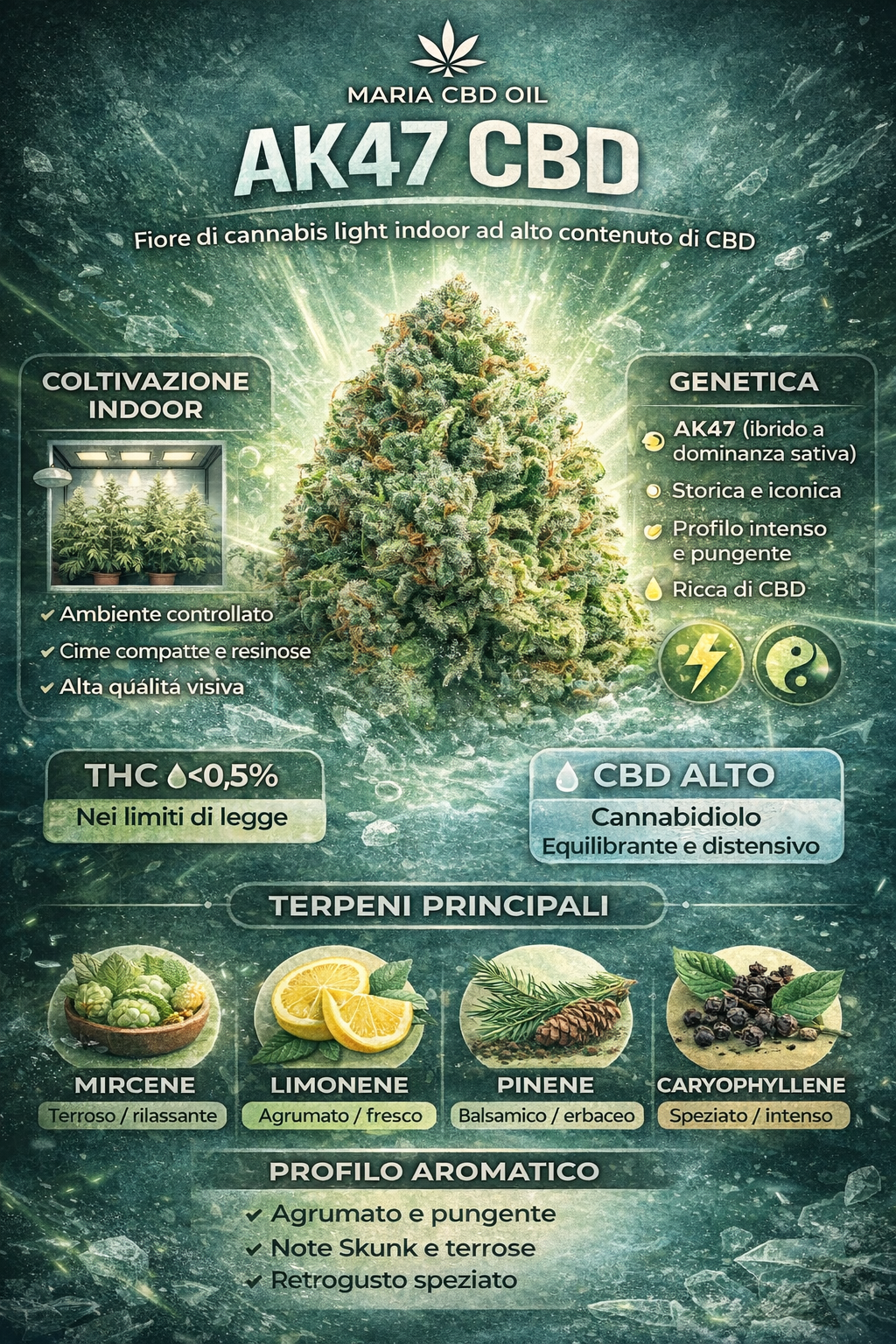 ak47 cannabis light