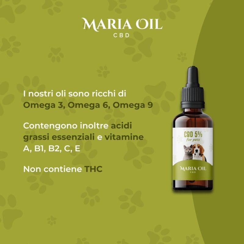 CBD Pet Öl 5 % für Tiere – Bild 3