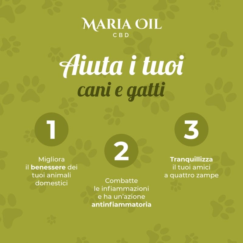 CBD Pet Öl 5 % für Tiere – Bild 5