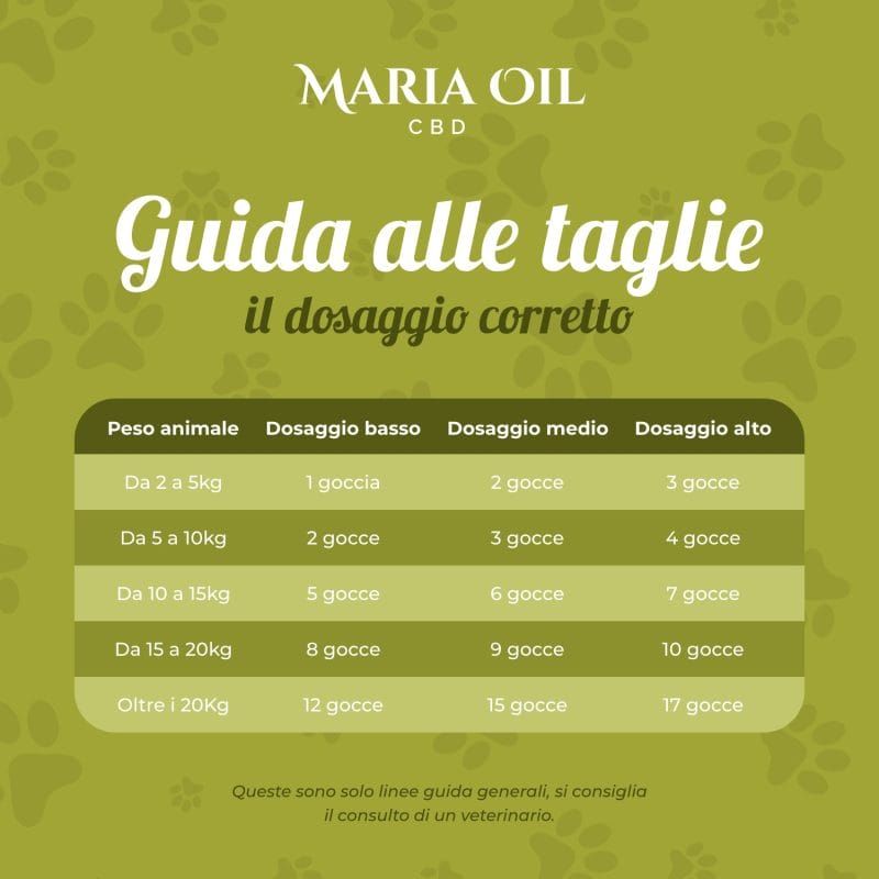 CBD Pet Öl 5 % für Tiere – Bild 6