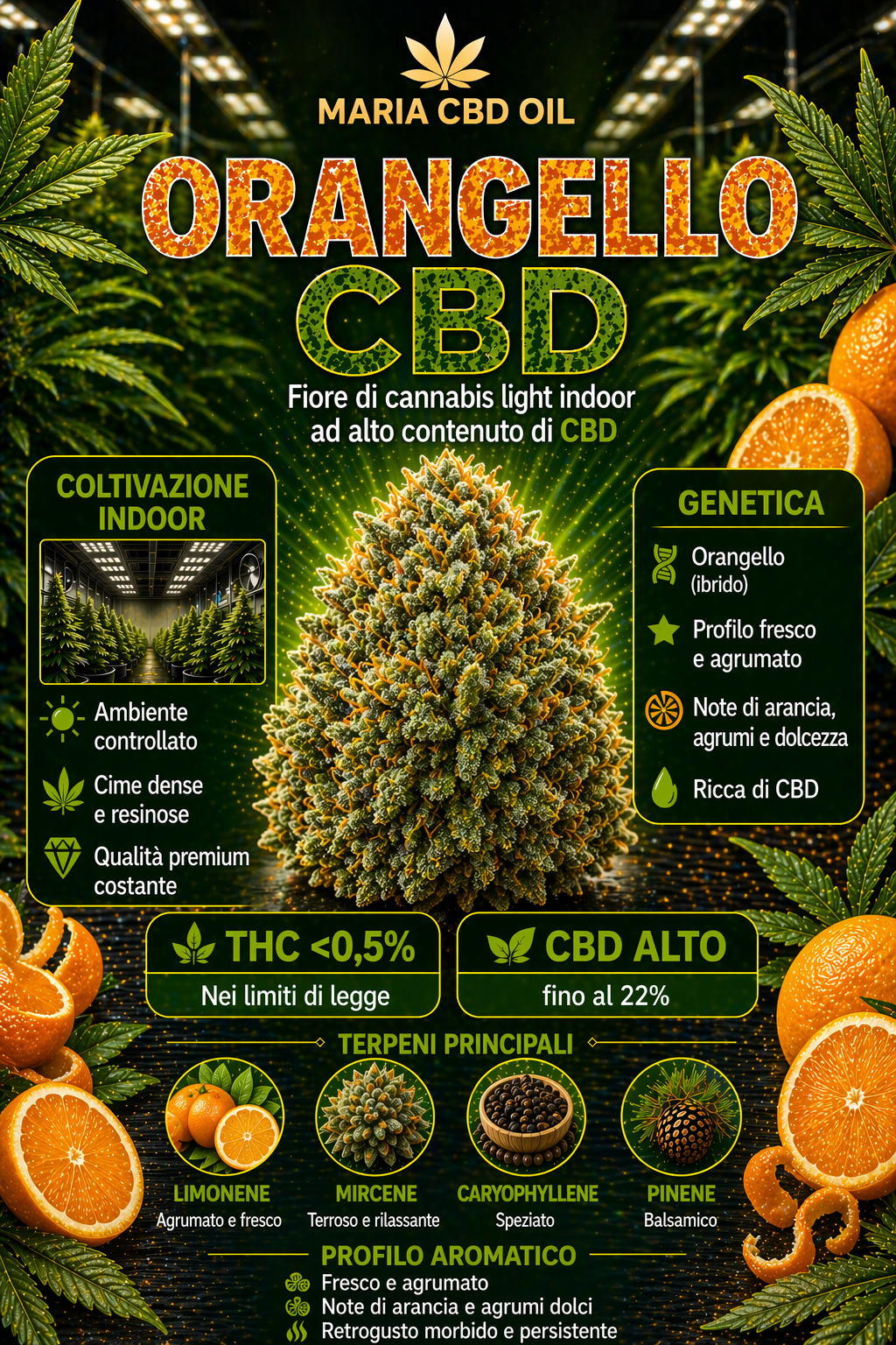 Orangello CBD
