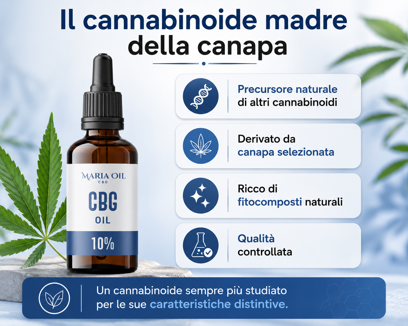 Infografica dell'Olio CBG 10% Maria CBD Oil che illustra le caratteristiche del CBG: precursore naturale di altri cannabinoidi, derivato da canapa selezionata, ricco di fitocomposti naturali e sottoposto a controlli qualità.