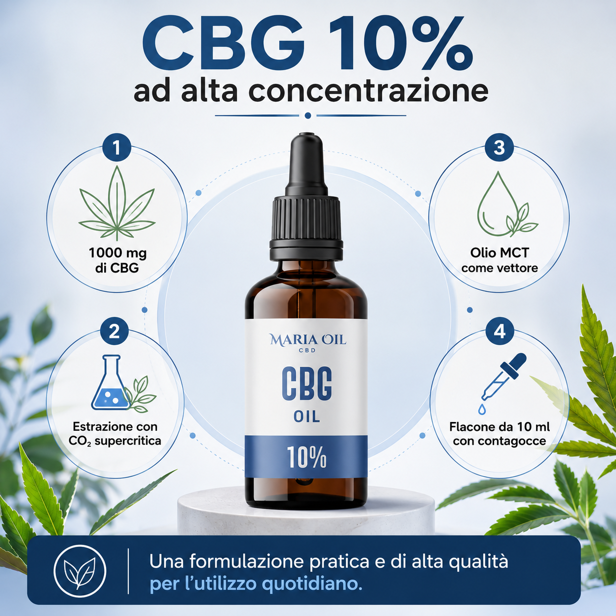 Infografica dell’Olio CBG 10% Maria CBD Oil con 1000 mg di CBG, estrazione con CO₂ supercritica, olio MCT e flacone da 10 ml con contagocce.