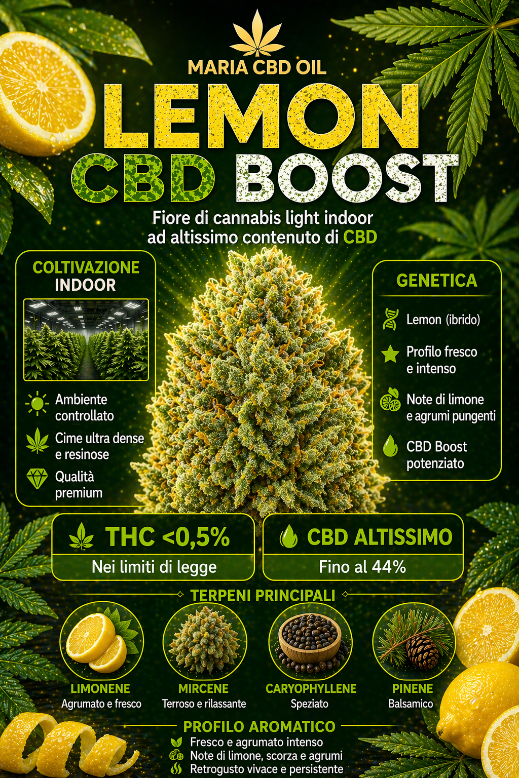 Lemon CBD Boost