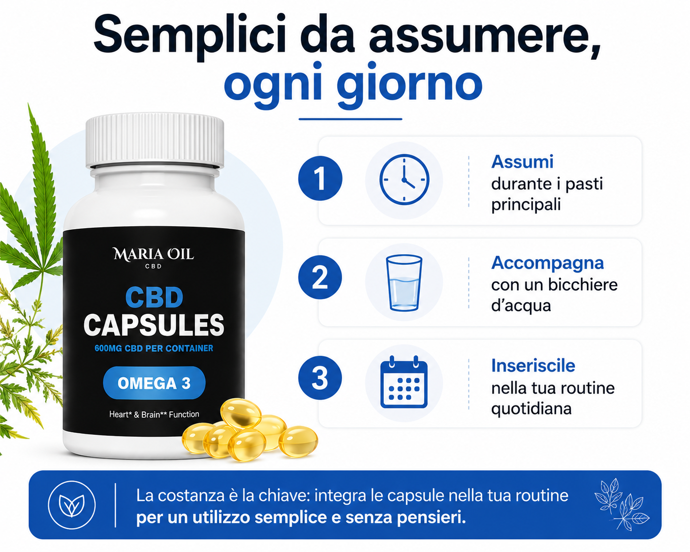 Infografica che mostra come assumere le Capsule CBD con Omega 3 Maria Oil: durante i pasti principali, accompagnate da un bicchiere d'acqua e integrate nella routine quotidiana.