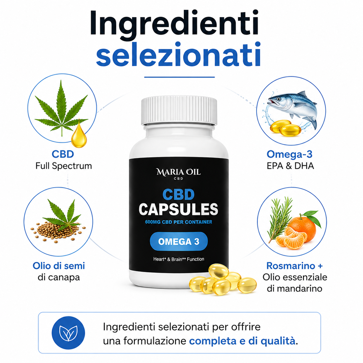 Infografica delle Capsule CBD con Omega 3 Maria Oil che mostra gli ingredienti principali della formula: CBD Full Spectrum, Omega-3 EPA e DHA, olio di semi di canapa ed estratti naturali di rosmarino e olio essenziale di mandarino.